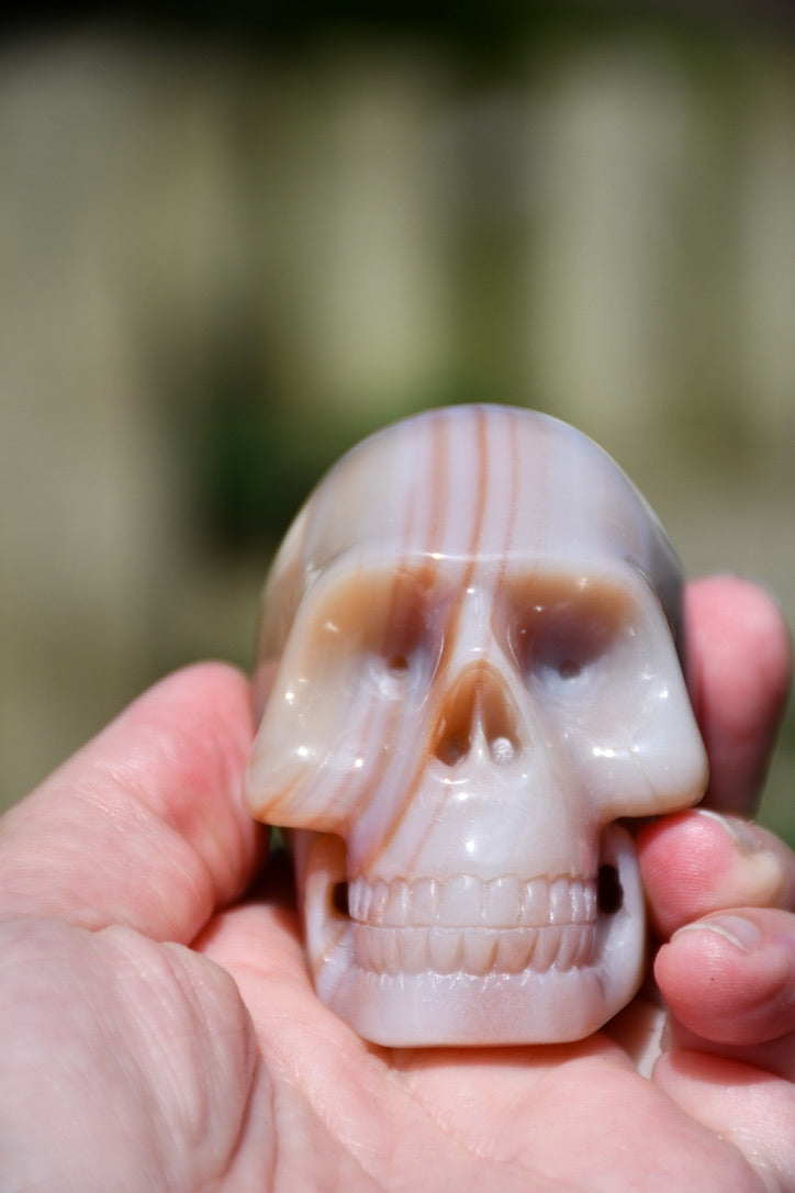 (possible) Raven or Ravenia agate skull carve