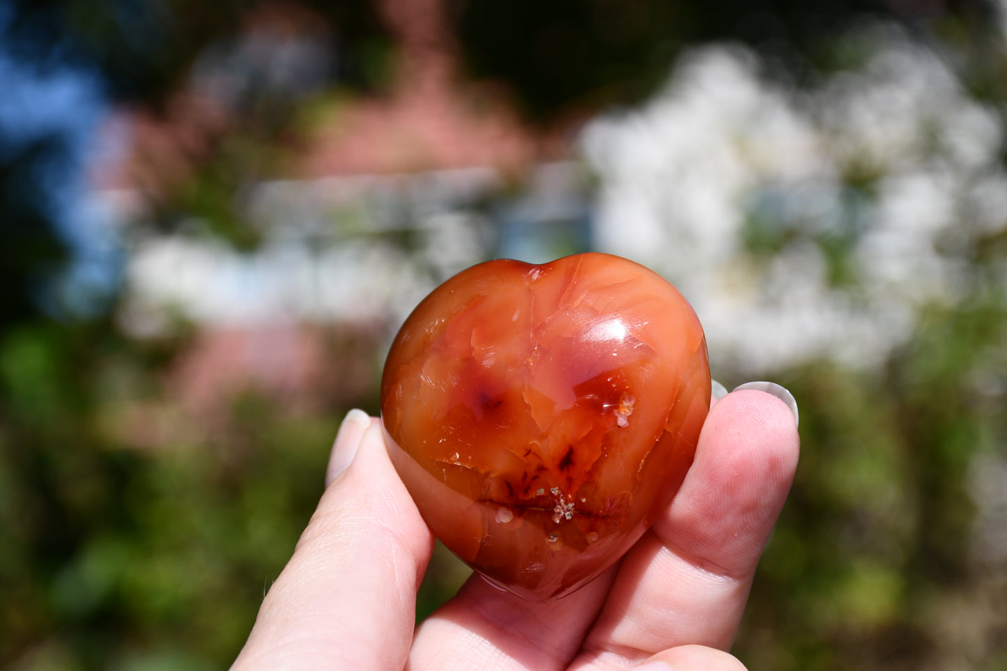 Carnelian heart