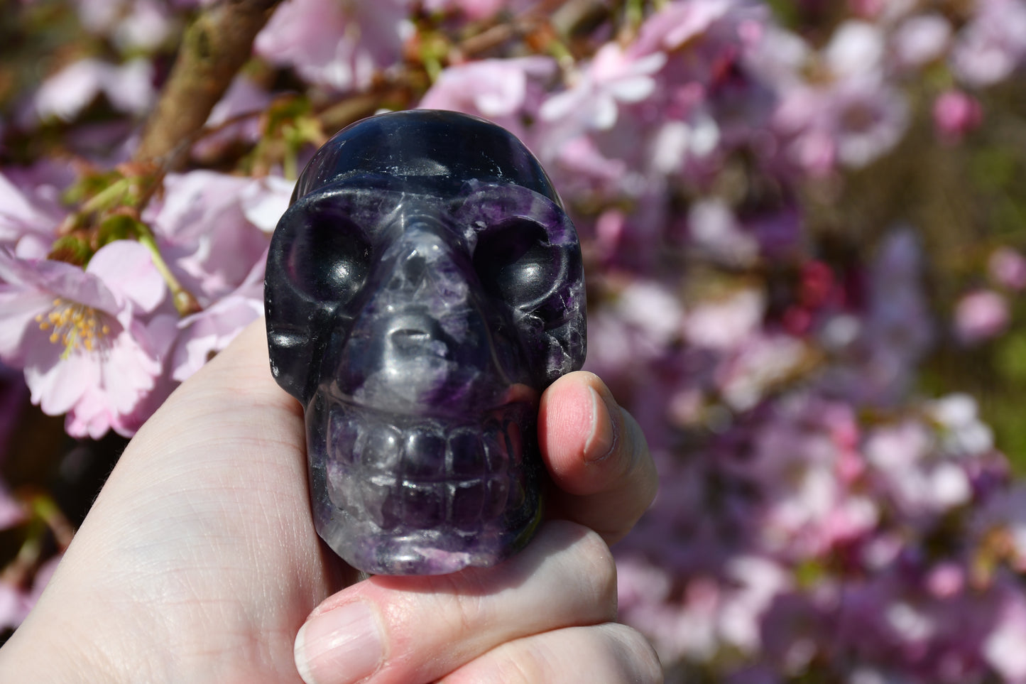 Purple fluorite skull