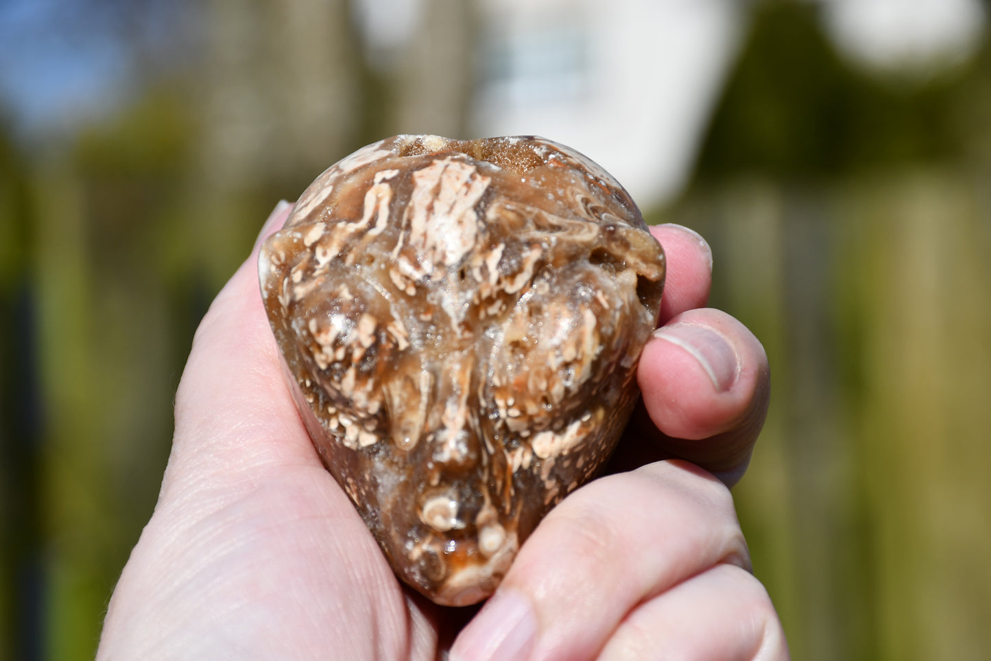 Aragonite with druzy star being
