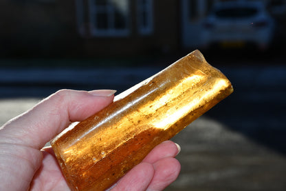 Copal or Amber with fossilised insects