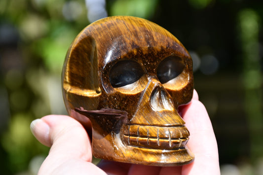 Tigerseye Skull carve