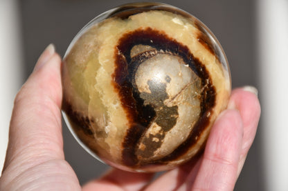Septarian sphere
