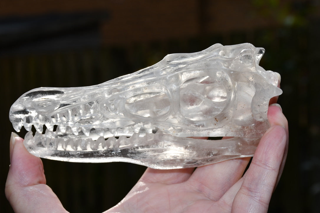 clear quartz Dinosaur skull
