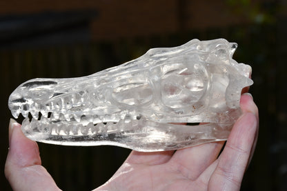 clear quartz Dinosaur skull