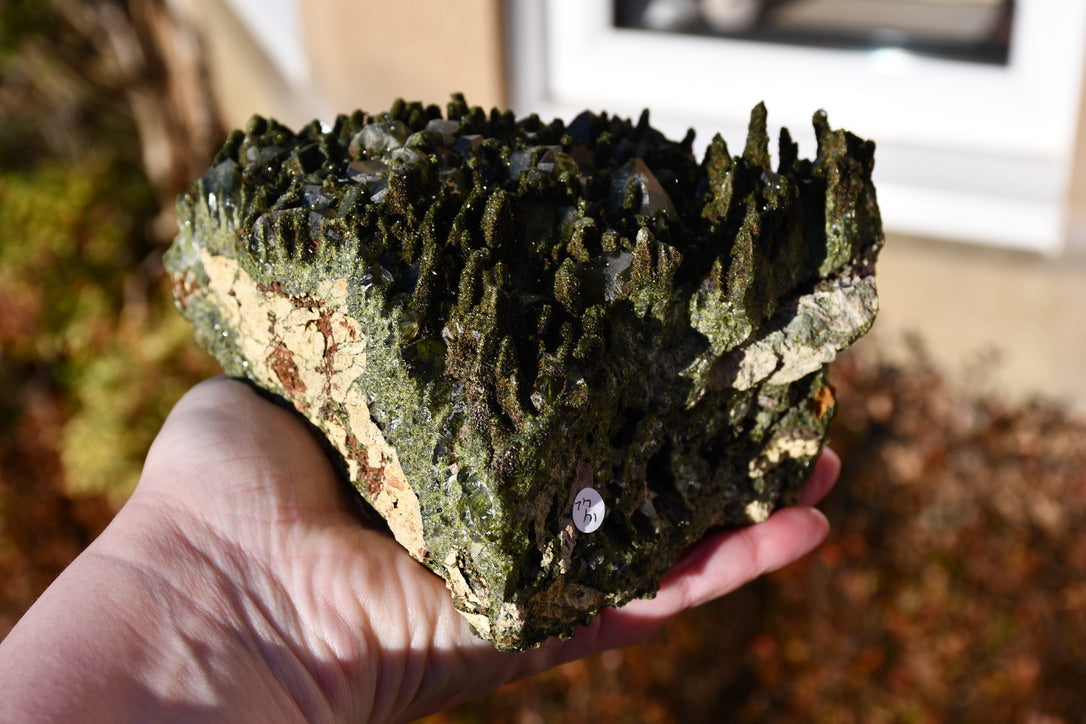 "Fairy forest" diopside and quartz cluster on matrix