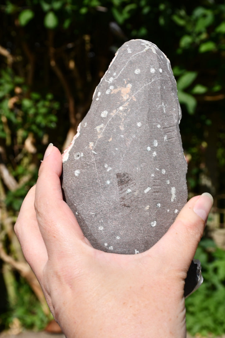 Mixed zeolites on matrix