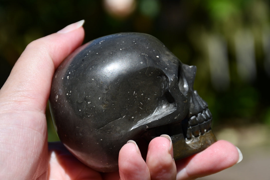Avalon Stone Skull Carve