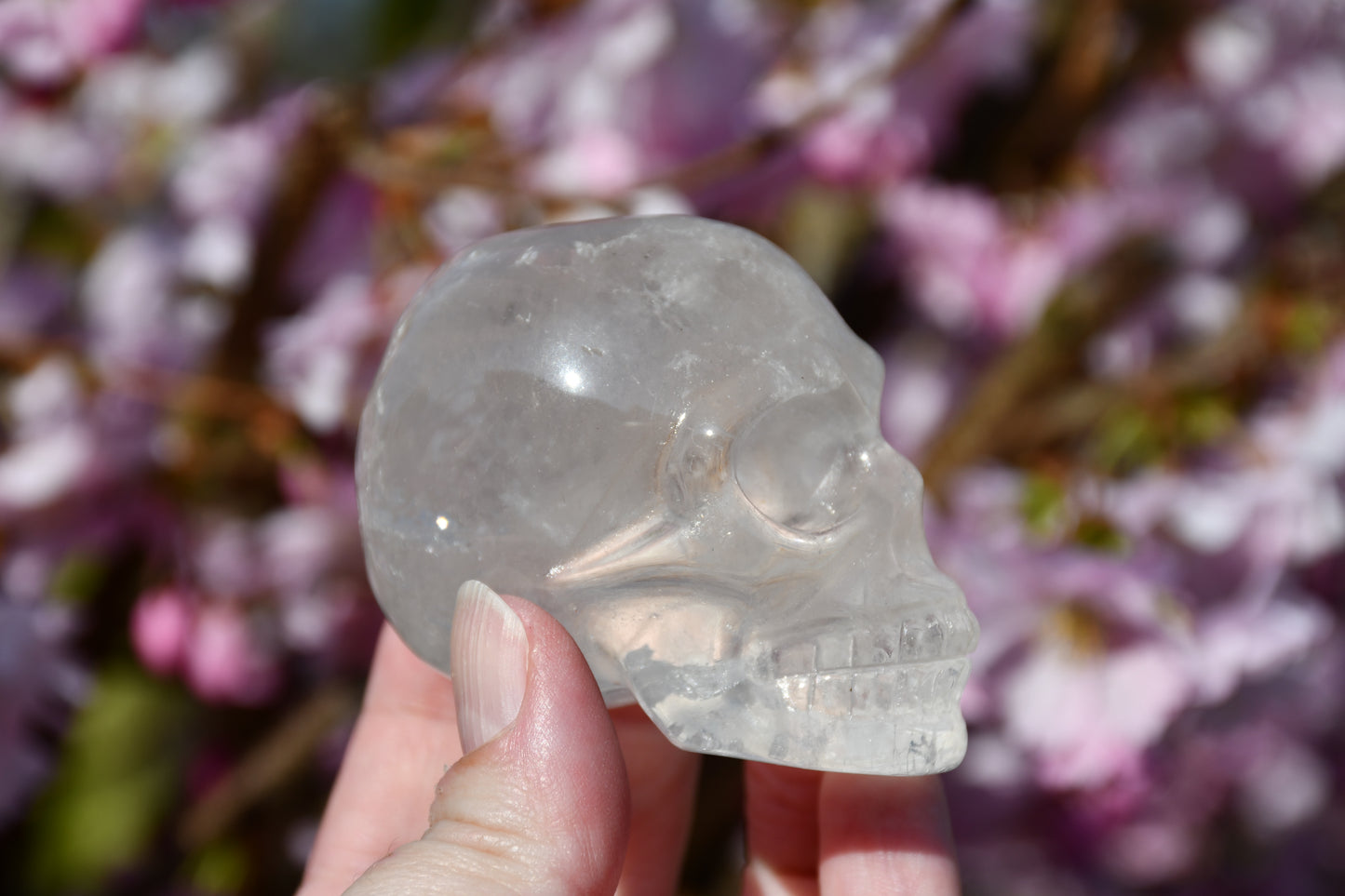 Clear quartz skull