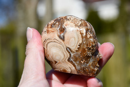 Aragonite with druzy star being