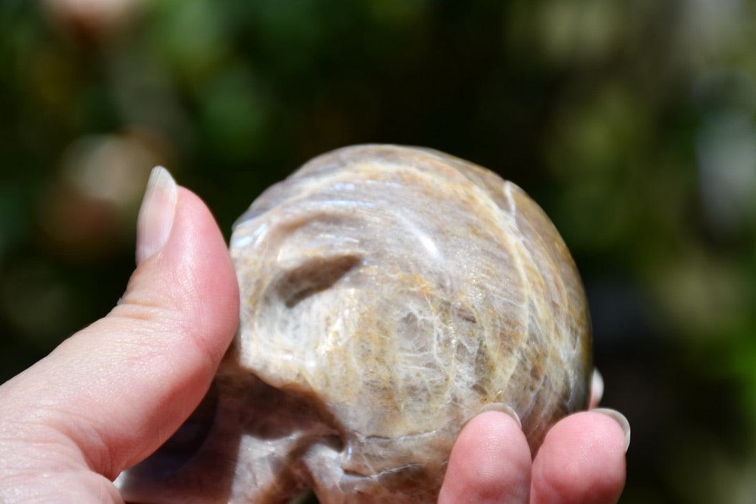 Moonstone and sunstone skull carve (larger)