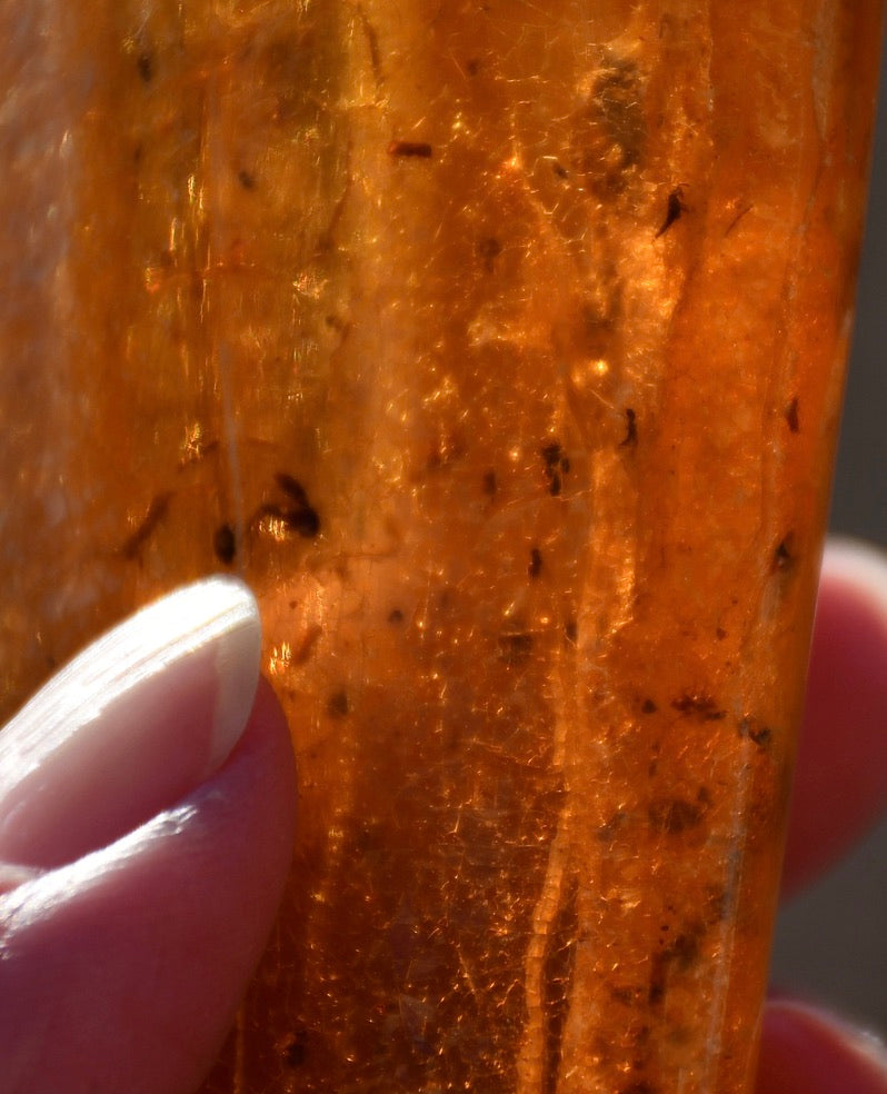 Copal or Amber with fossilised insects