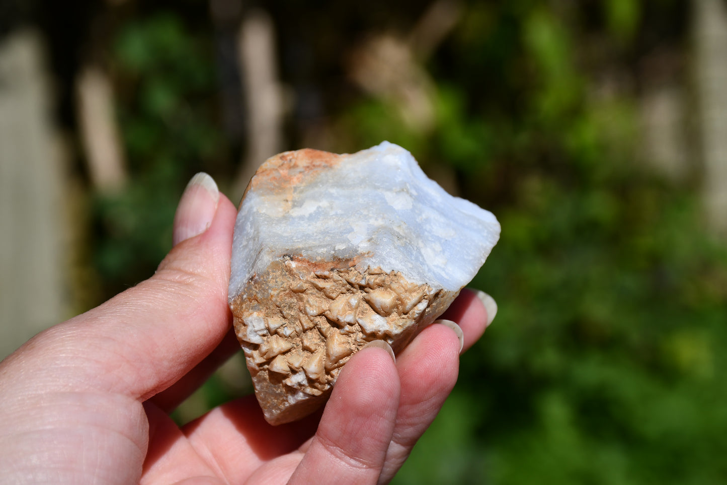Blue lace agate trio