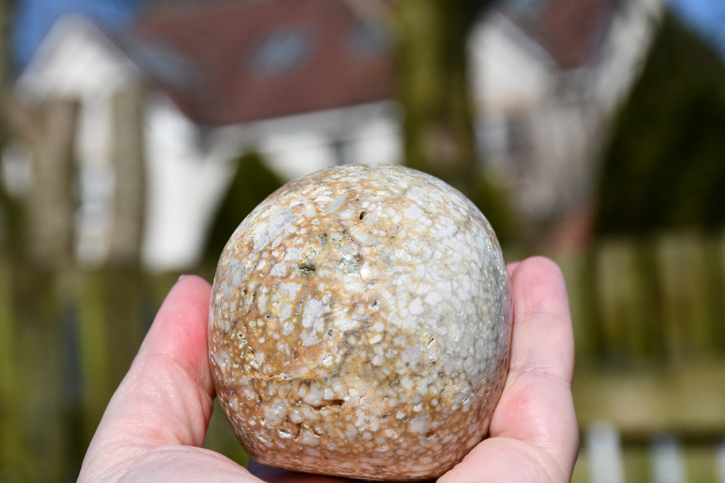unusual jasper skull