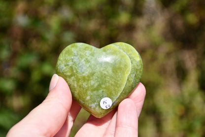 Serpentine heart