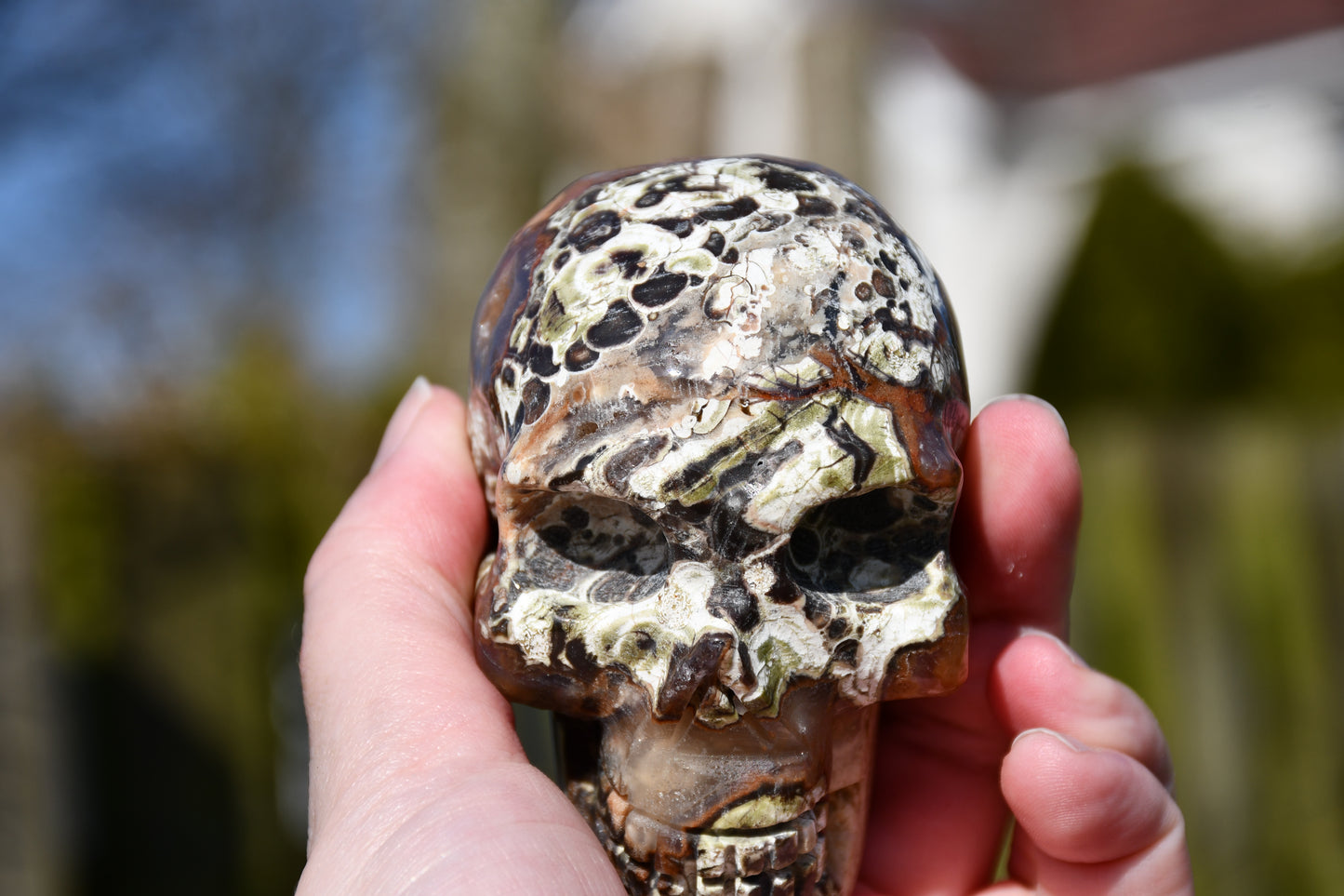 Rhyolite quartz skull