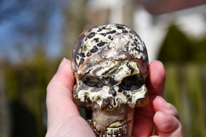 Rhyolite quartz skull