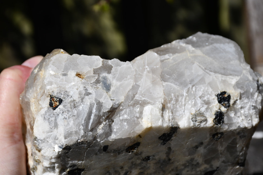 Himalayan quartz cluster with black tourmaline and mica