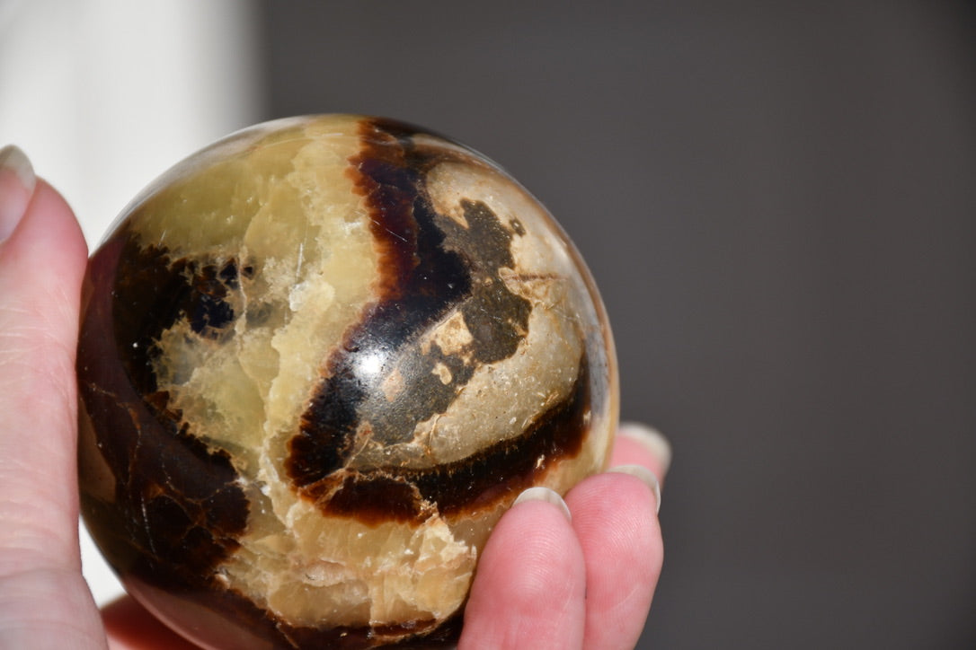 Septarian sphere