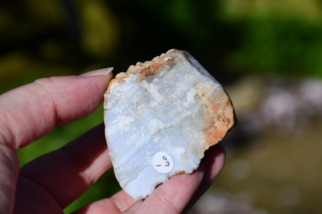 Blue lace agate bundle