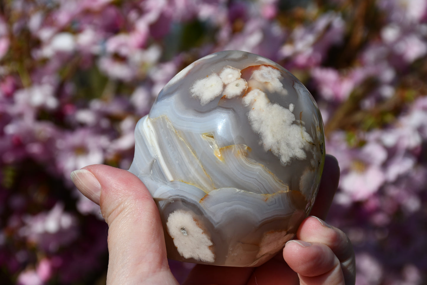 Flower agate skull