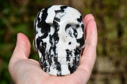 Zebra jasper skull carve