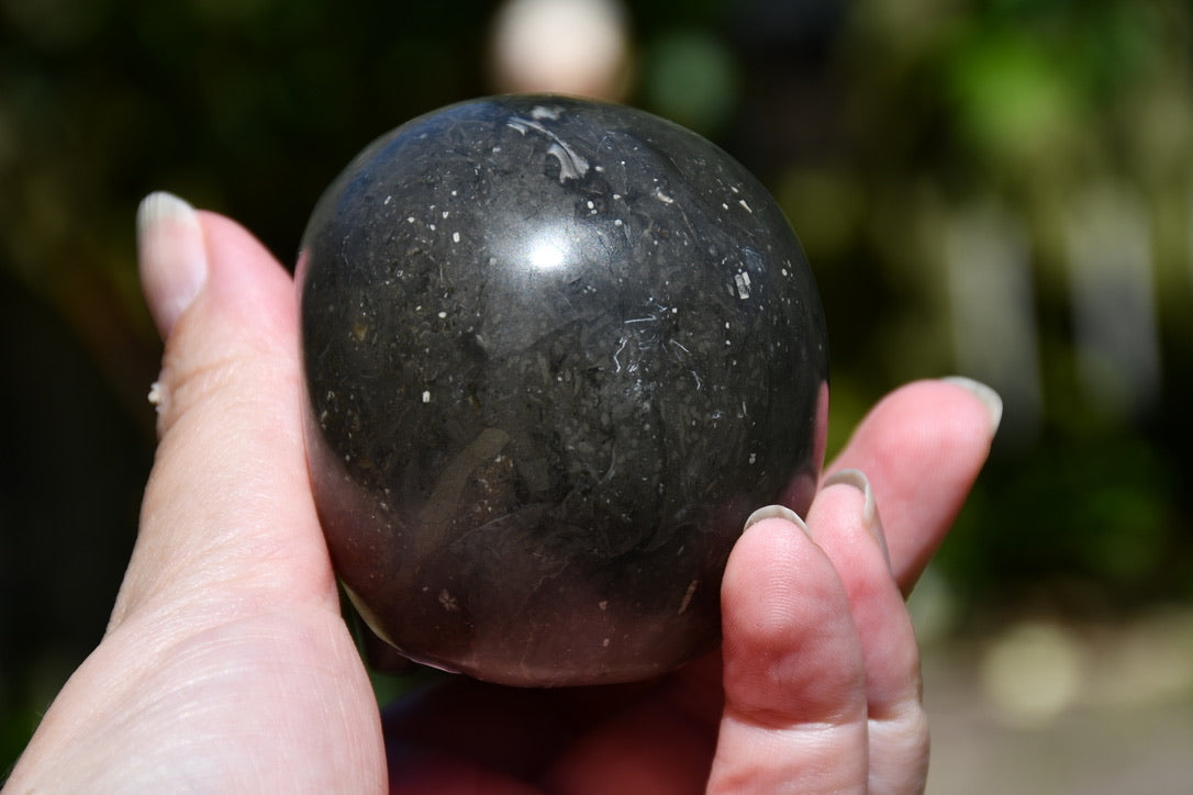 Avalon Stone Skull Carve