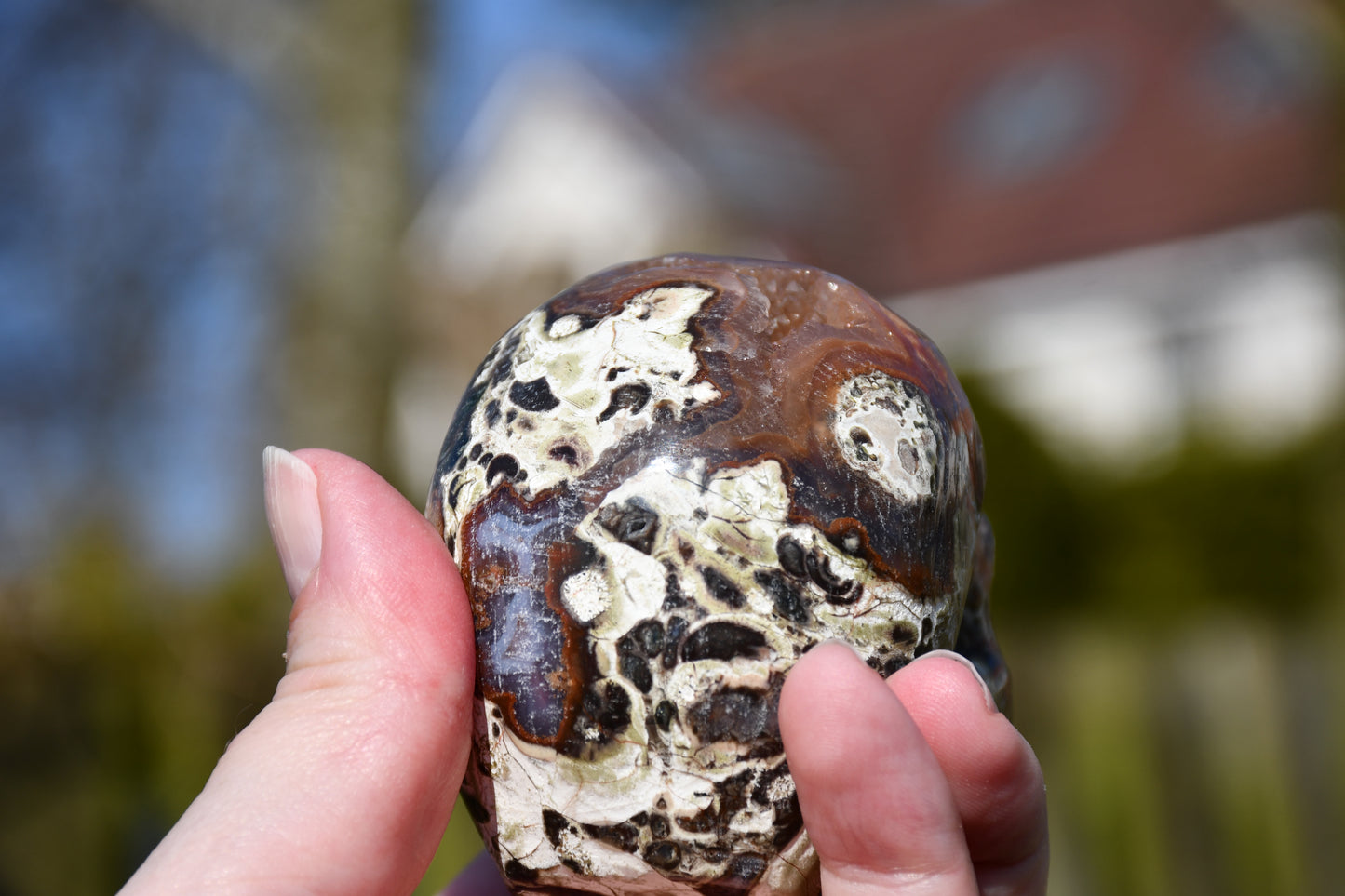 Rhyolite quartz skull