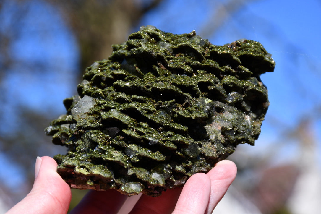 "fairy forest" epidote on quartz cluster