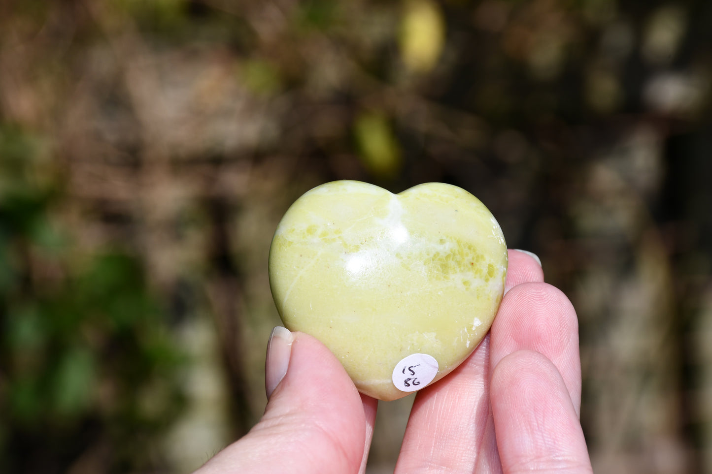 Small serpentine heart