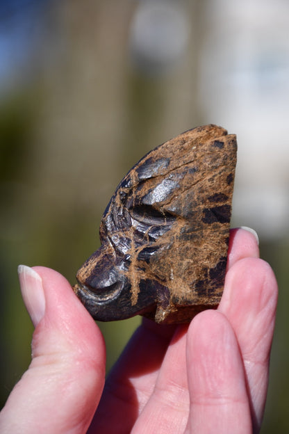 Purpurite skull - Manus carve