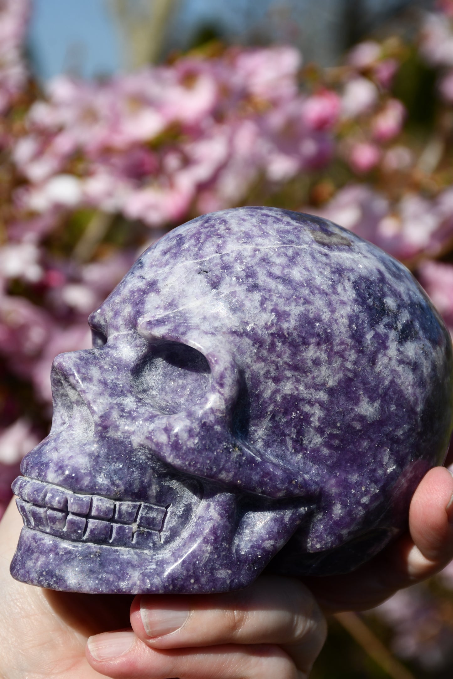 Lepidolite skull