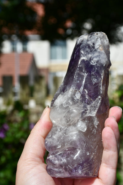 Manus phantom amethyst tribal skull carve