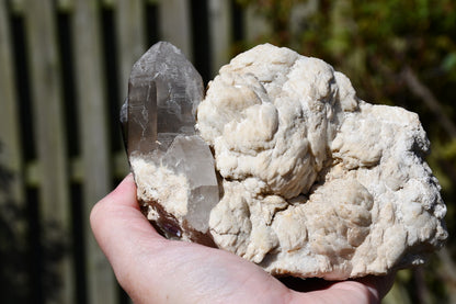 Himalayan smoky quartz and black tourmaline cluster