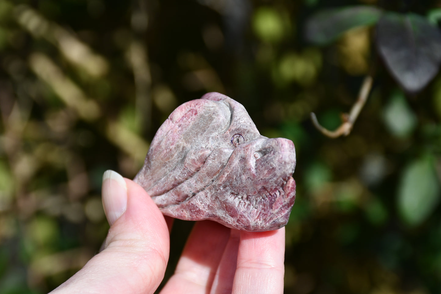 Red garnet or rhodonite dragon - Manus carve