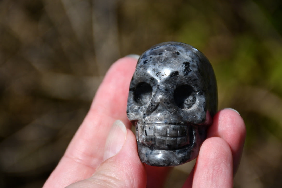 Skull carve mixed crystal bundle 10 pieces (+ 3 added extras)