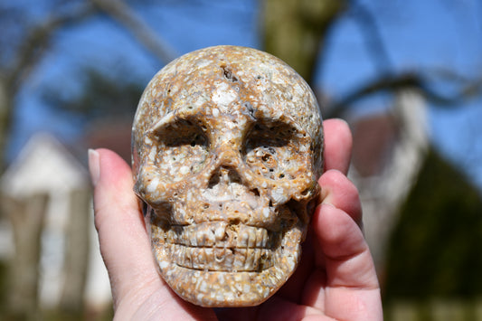 unusual jasper skull