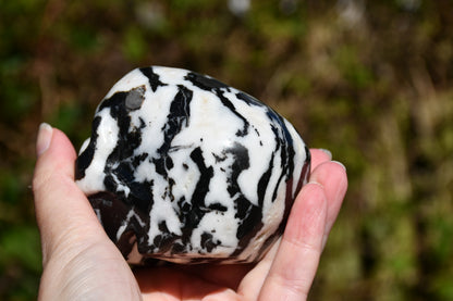 Zebra jasper skull carve