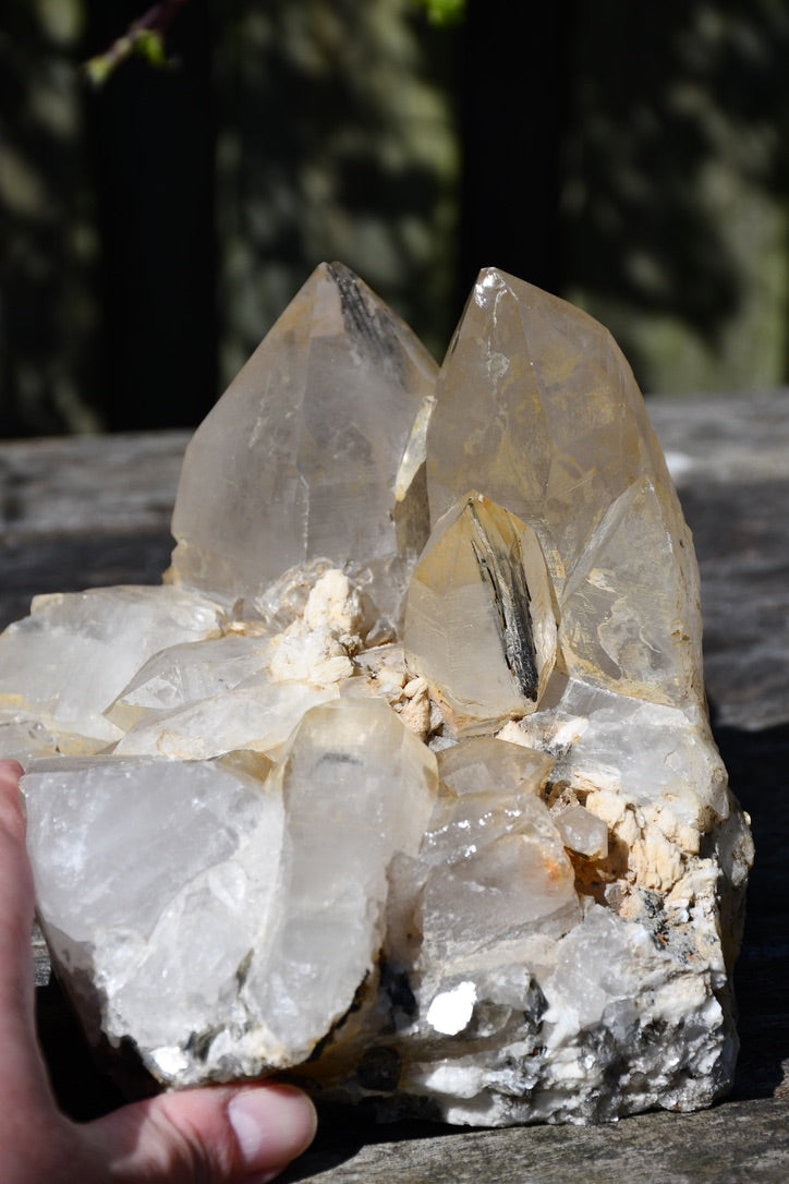 Himalayan quartz cluster with black tourmaline and mica