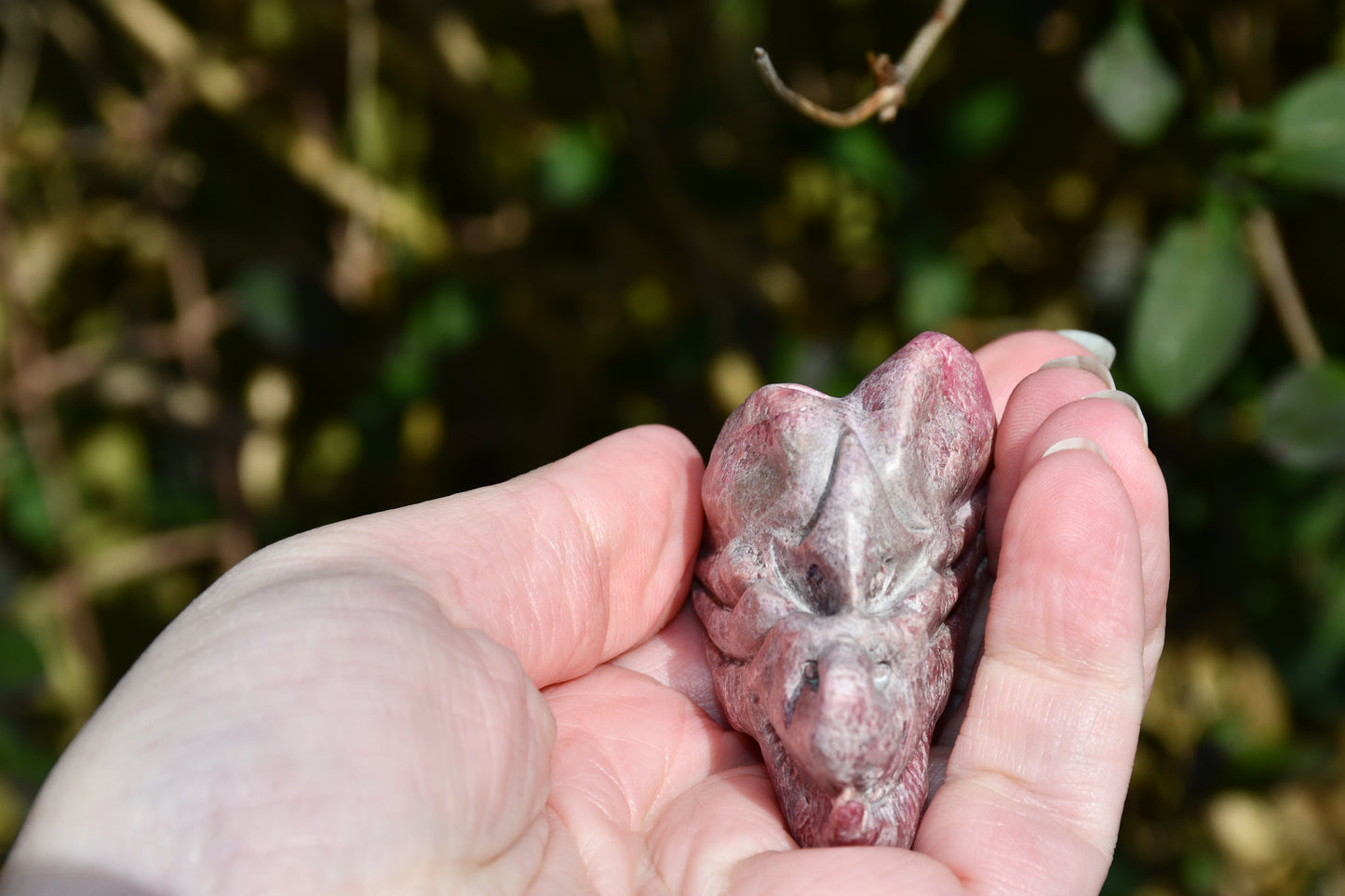 Red garnet or rhodonite dragon - Manus carve