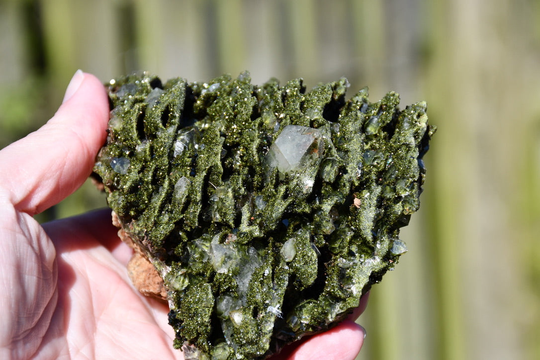 "fairy forest" epidote on quartz cluster