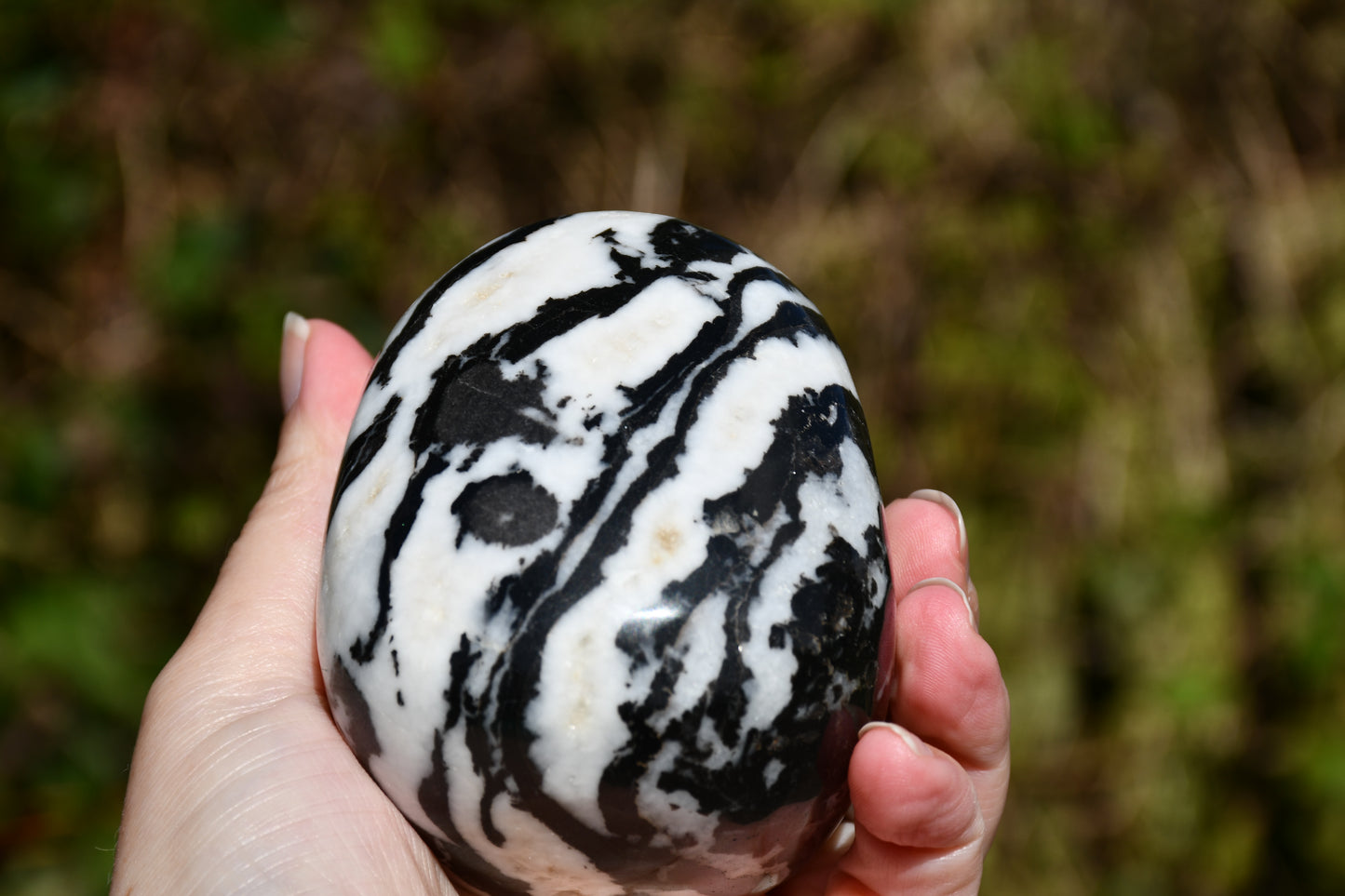 Zebra jasper skull carve