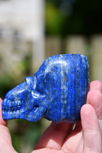 Lapis lauzuli Manus skull
