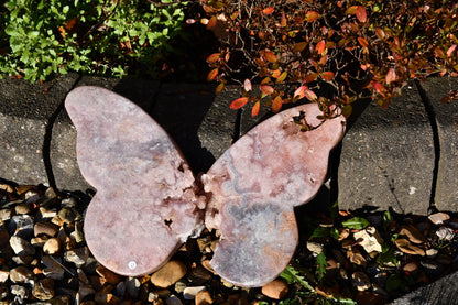 Pink amethyst butterfly carve - warrior