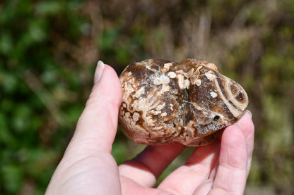 Aragonite carved skull