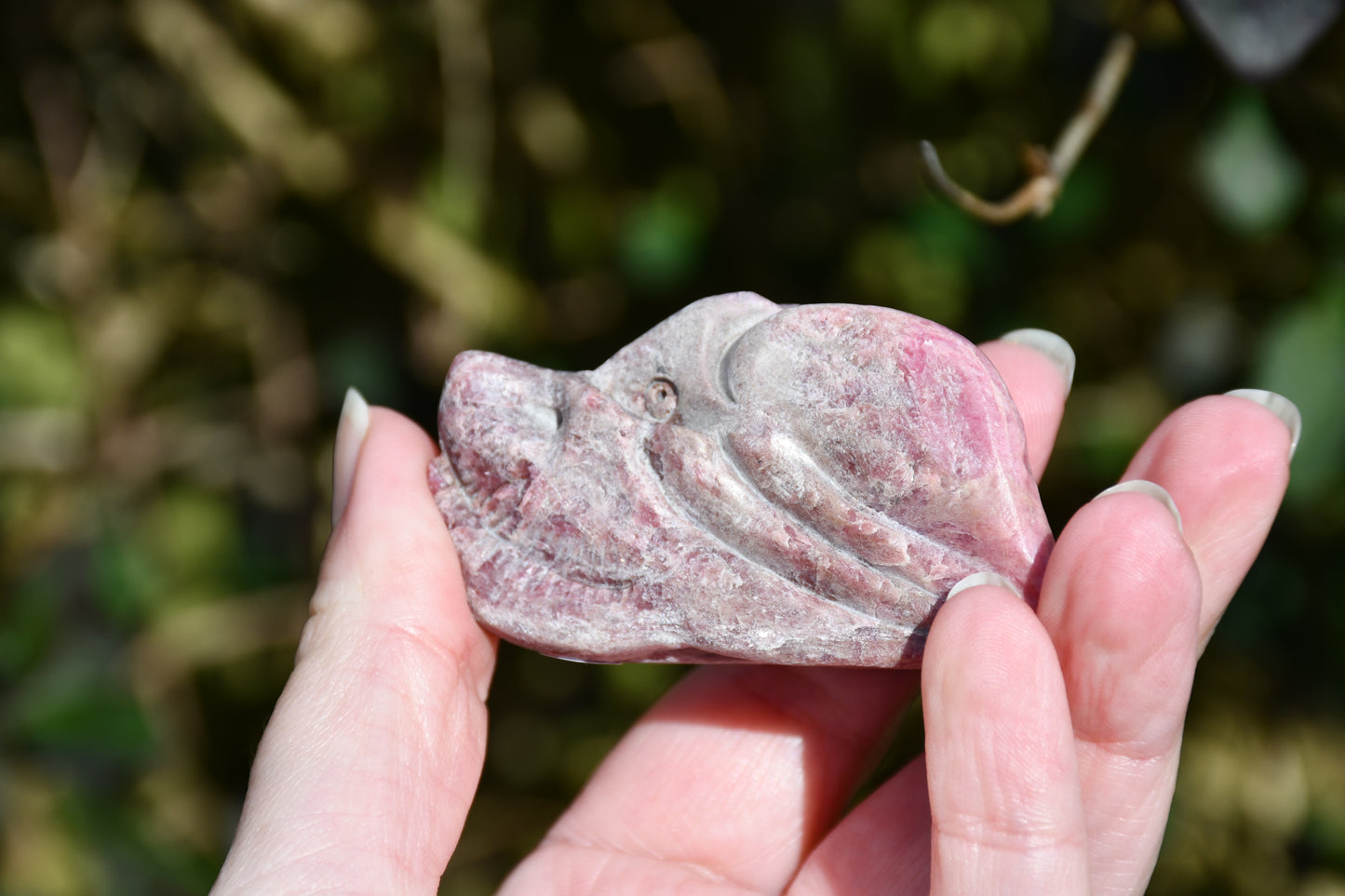 Red garnet or rhodonite dragon - Manus carve