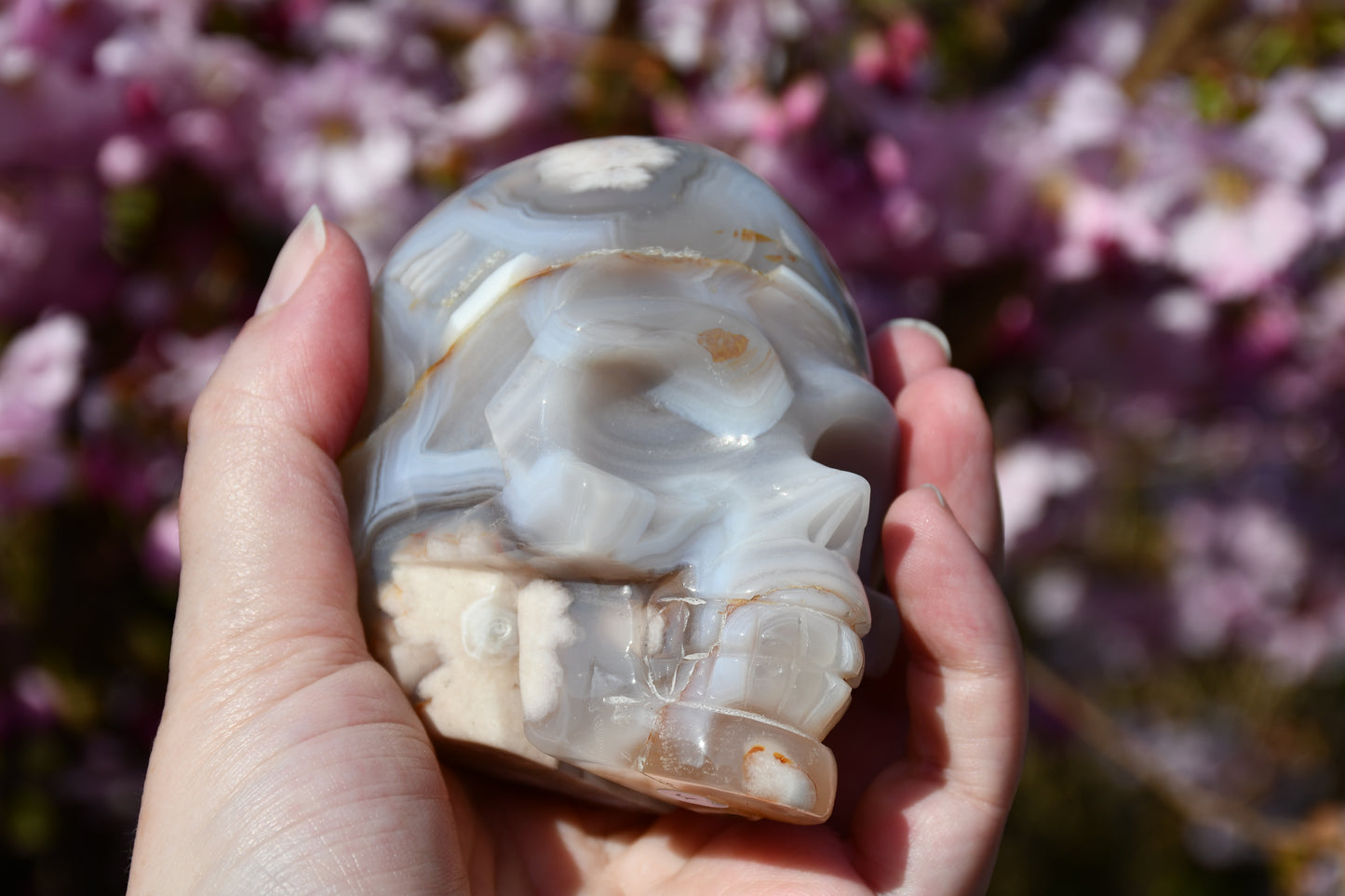 Flower agate skull