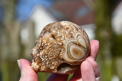 Aragonite with druzy star being