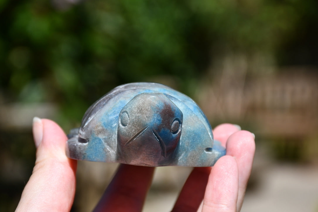 Trolleite or quantum quattro carved turtle