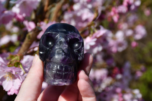 Purple fluorite skull